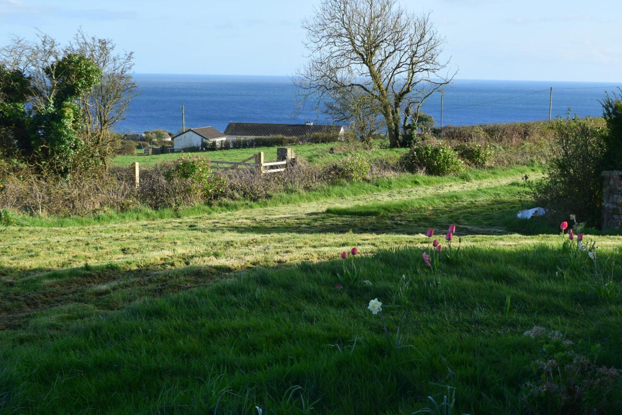 Bed and Breakfast Cedarblue Dungarvan  Exteriér fotografie